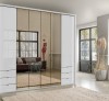 Thi Công Tủ Quần Áo Giá Rẻ Hiện Đại