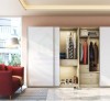 Tủ Áo Cánh Lùa Hiện Đại Đẹp