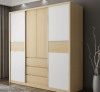 Tủ Quần Áo Cửa Lùa Hiện Đại