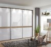 Tủ Quần Áo Gỗ Acrylic Giá Rẻ Tp.Hcm
