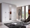 Tủ Quần Áo Giá Rẻ Hiện Đại Tp.Hcm