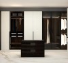 Tủ Quần Áo Hiện Đại Hcm