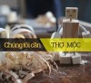 Nội Thất Bảo Nam - Tuyển Dụng