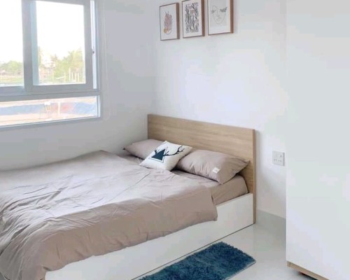 Giường Ngủ Đẹp Rẻ Tphcm